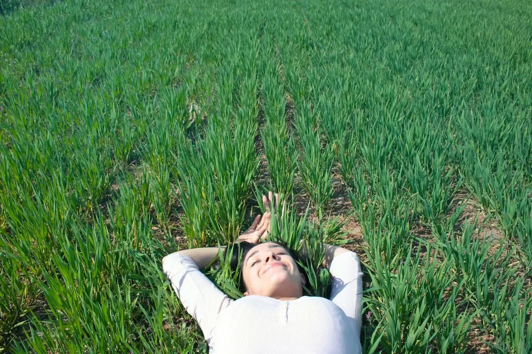 解梦