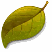 链接